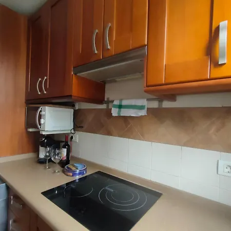 Quiet Duplex Close To The * Playa de las Americas (Tenerife)