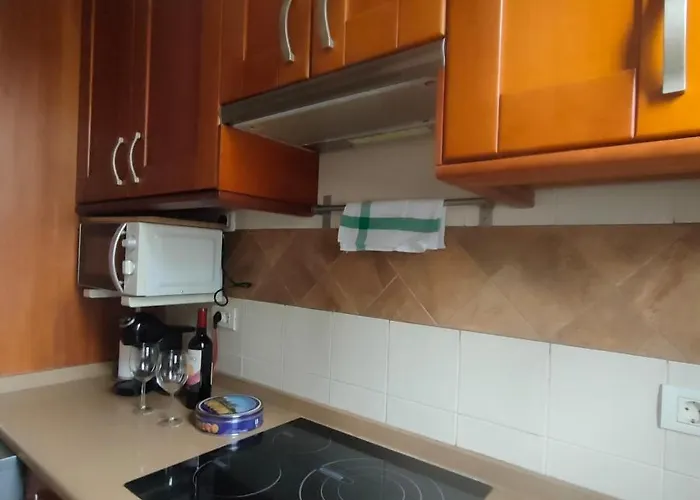 Quiet Duplex Close To The * Playa de las Americas (Tenerife)